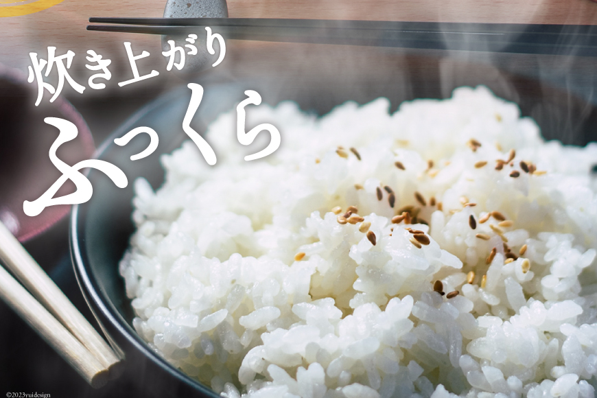 米 宮城県産 ひとめぼれ 10kg (5kg×2袋) [気仙沼米穀商業協同組合 宮城県 気仙沼市 20565763] 一等米 ブランド米 白米 精米 ご飯 ごはん コメ こめ お米 小分け 家庭用