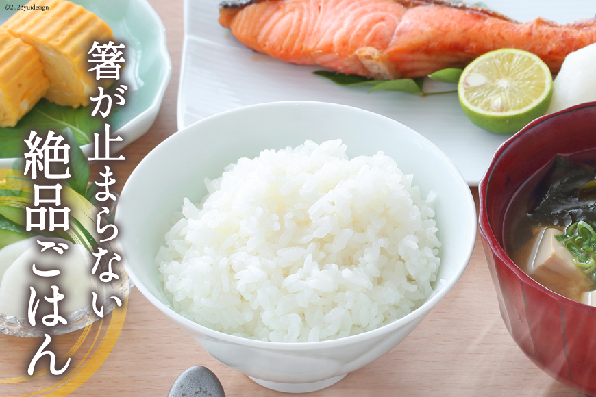 米 宮城県産 ひとめぼれ 10kg (5kg×2袋) [気仙沼米穀商業協同組合 宮城県 気仙沼市 20565763] 一等米 ブランド米 白米 精米 ご飯 ごはん コメ こめ お米 小分け 家庭用