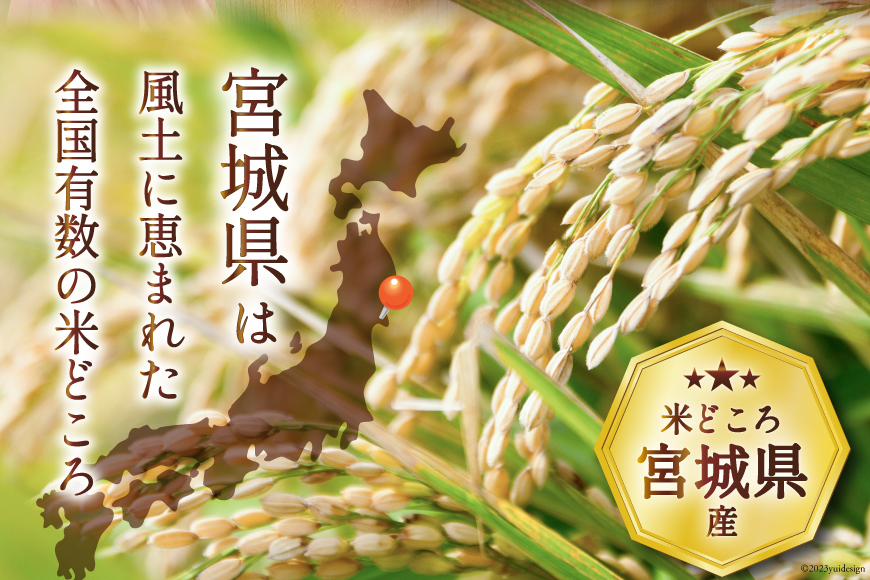 米 宮城県産 ひとめぼれ 10kg (5kg×2袋) [気仙沼米穀商業協同組合 宮城県 気仙沼市 20565763] 一等米 ブランド米 白米 精米 ご飯 ごはん コメ こめ お米 小分け 家庭用