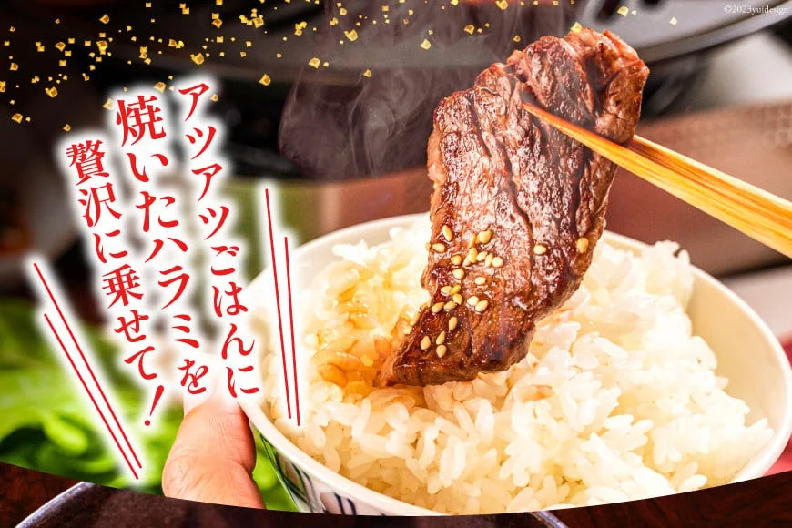 大人気！特製タレ漬 牛ハラミ たっぷり 計1.5kg(300g×5p) [モ～ランド 宮城県 気仙沼市 20563342] 牛肉 肉 焼肉 ハラミ はらみ サガリ タレ BBQ おすすめ 焼き肉 焼肉セット 焼肉用 小分け 冷凍