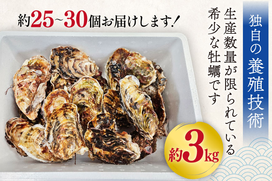 【期間限定発送】 牡蠣 小粒 1〜1年半モノ 生食 殻付き牡蠣 約3kg (約25〜30個入) [住喜水産 宮城県 気仙沼市 20565054] 冷蔵 新鮮 濃厚 真牡蠣 カキ かき 生牡蠣 魚貝類 貝 海鮮 魚介類 なべ カキフライ 牡蠣ご飯 魚介