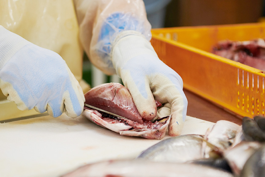 干物 一夜干しのほろほろ蒸し 7種8p [気仙沼市物産振興協会 宮城県 気仙沼市 20565259] 詰め合わせ ひもの