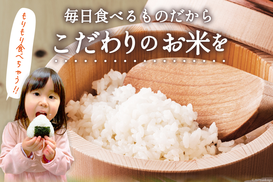 米 宮城県産 ひとめぼれ 10kg (5kg×2袋) [気仙沼米穀商業協同組合 宮城県 気仙沼市 20565763] 一等米 ブランド米 白米 精米 ご飯 ごはん コメ こめ お米 小分け 家庭用