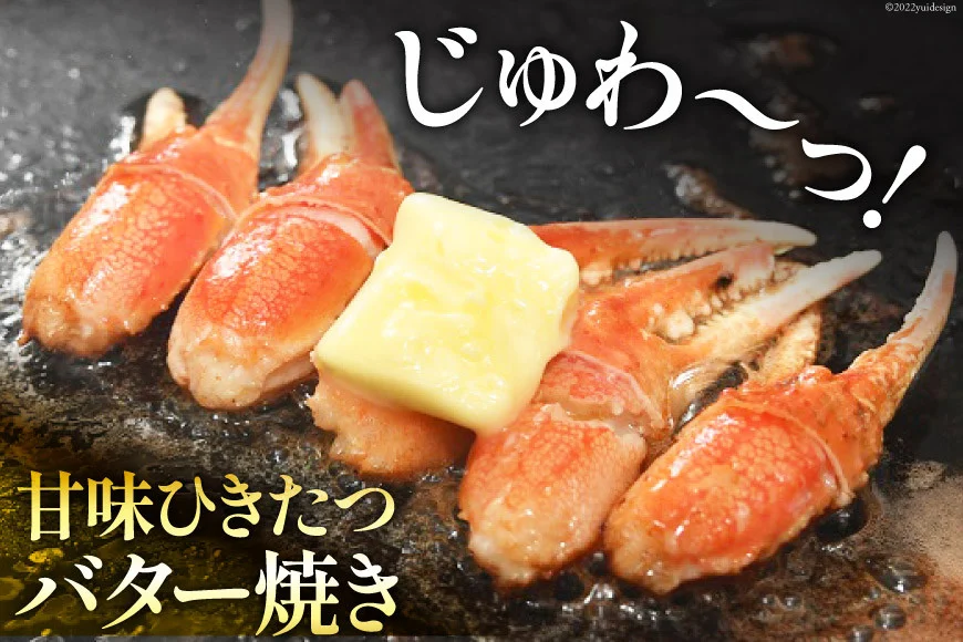 リピーター続出！ 本ずわいがに爪 約700g [カネダイ 宮城県 気仙沼市 20564321] 蟹 かに カニ ずわいがに ズワイガニ ずわい蟹 ズワイ蟹 ずわい ズワイ 蟹 カニ爪 蟹爪 カニ爪肉 つめ 爪 ボイル