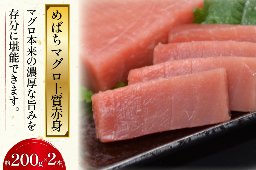北かつのマグロ上質セット (マグロ中トロ 200g マグロ上質赤身 200g×2 メカジキ 200g びんちょう 200g）合計1kg [北かつ商事 宮城県 気仙沼市 20563511] 魚 鮪 マグロ 中トロ まぐろ 赤身 刺身 魚介 メカジキ 冷凍 