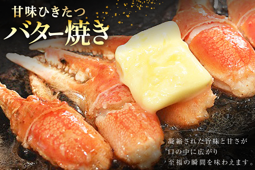 リピーター続出！ 本ずわいがに爪 約700g [カネダイ 宮城県 気仙沼市 20564321] 蟹 かに カニ ずわいがに ズワイガニ ずわい蟹 ズワイ蟹 ずわい ズワイ 蟹 カニ爪 蟹爪 カニ爪肉 つめ 爪 ボイル