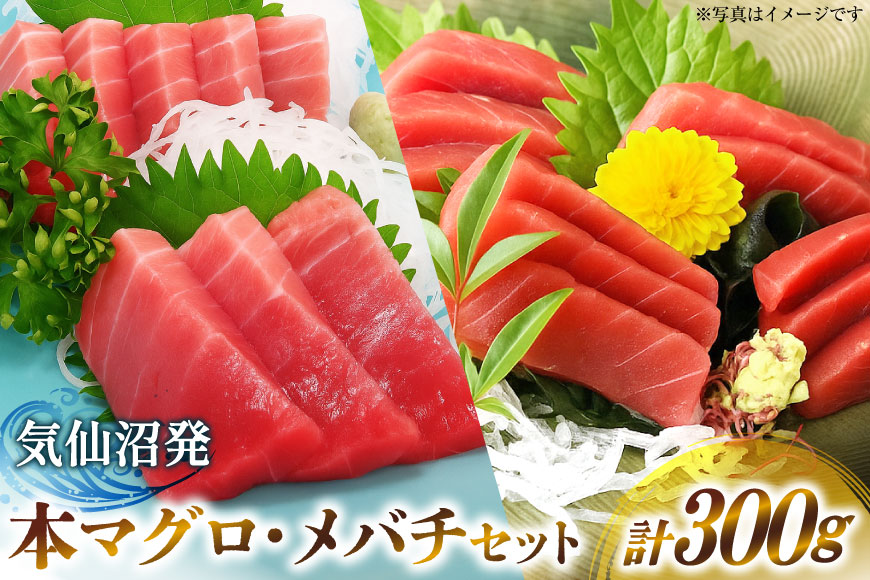 本マグロ・メバチセット [川印　村田漁業 宮城県 気仙沼市 20563739] 魚 海鮮 魚介 まぐろ 鮪 メバチマグロ 刺身 本マグロ