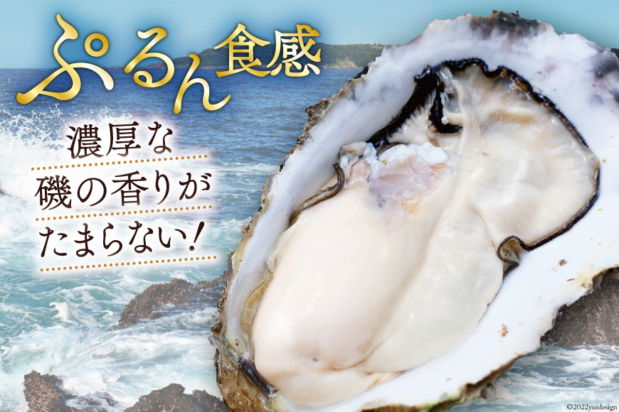【期間限定発送】 TVで紹介！ 牡蠣 3～4年モノ 生食 殻付き牡蠣 約3kg(約16-18個入) [住喜水産 宮城県 気仙沼市 20564186] 期間限定 冷蔵 新鮮 濃厚 真牡蠣 カキ かき 生牡蠣 魚貝類 生牡蠣 貝 海鮮 魚介類 なべ カキフライ 牡蠣ご飯 魚介
