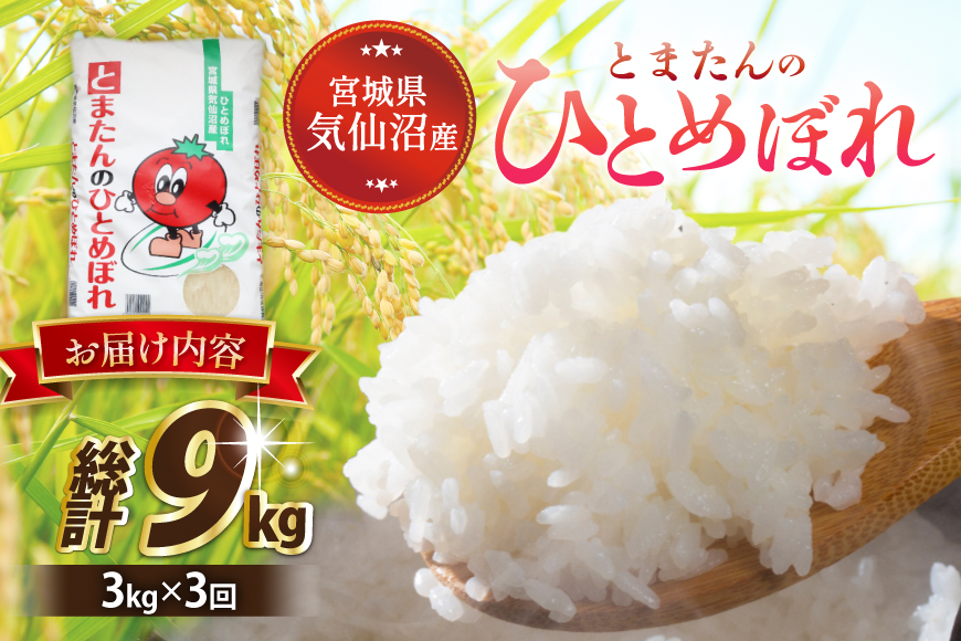 3回 定期便 米 宮城県産 とまたんのひとめぼれ 3kg 総計9kg [サンフレッシュ小泉農園 宮城県 気仙沼市 20566082] ひとめぼれ ブランド米 白米 精米 ご飯 ごはん コメ こめ お米 小分け 家庭用