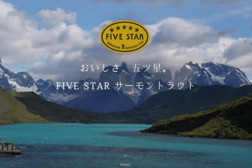 FIVE STAR ブランド 訳あり サーモン トラウト 漬け 総重量 1kg 100g×10p [カネダイ 宮城県 気仙沼市 20565453] 魚 魚介類 刺身 小分け 冷凍 鮭 さけ 海鮮 切り落とし 生食用 真空パック さけ サケ 食品 生食 サーモン 漬け丼 手巻き寿司 丼 海鮮丼 個包装