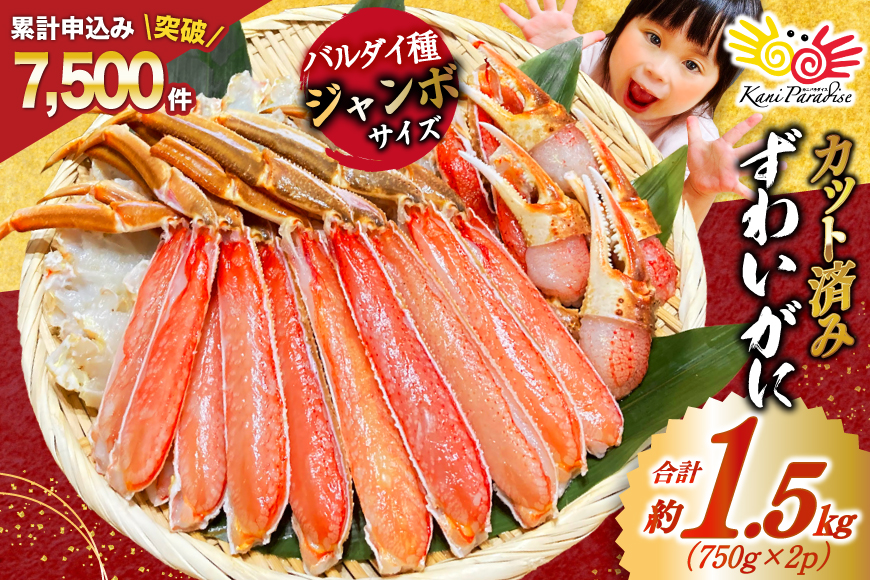 カット済 ずわいがに むき身セット 総重量1.5kg(750g×2p) かにしゃぶ かに鍋 正味重量1.2kg [カネダイ 宮城県 気仙沼市 20564319] かに カニ ずわいがに ずわい 蟹 棒 魚介 海鮮 ポーション