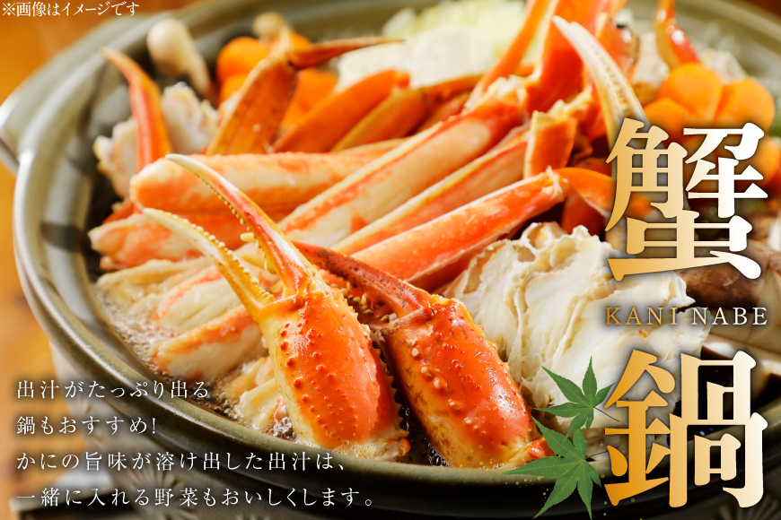 訳あり ボイル ずわいがに 肩付き脚 総重量1kg [カネダイ 宮城県 気仙沼市 20564325] カニ かに 魚介類 ズワイガニ ずわい蟹 ズワイ蟹 ずわい ズワイ 蟹 カニ カニ脚 蟹脚 不揃い 規格外 海鮮 ご褒美