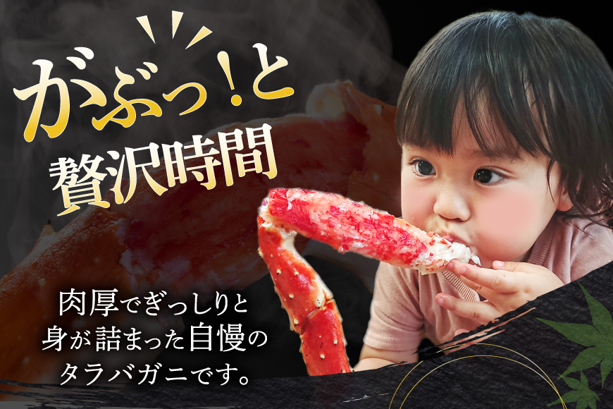 本 タラバガニ 脚 ボイル済 約1kg 極太5Lサイズ [カネダイ 宮城県 気仙沼市 20564323] カニ かに 蟹 たらばがに たらば蟹 タラバ蟹 たらば タラバ ボイル
