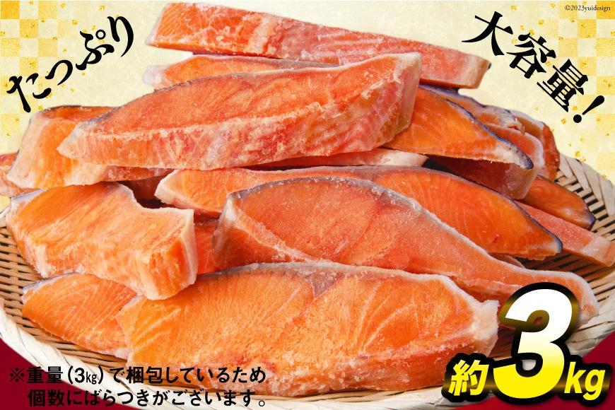 訳あり 銀鮭 切身 約3kg [宮城東洋 宮城県 気仙沼市 20564992] 鮭 魚介類 海鮮 訳アリ 規格外 不揃い さけ サケ 鮭切身 シャケ 切り身 冷凍 家庭用 おかず 弁当 支援 サーモン 銀鮭切り身 魚 わけあり