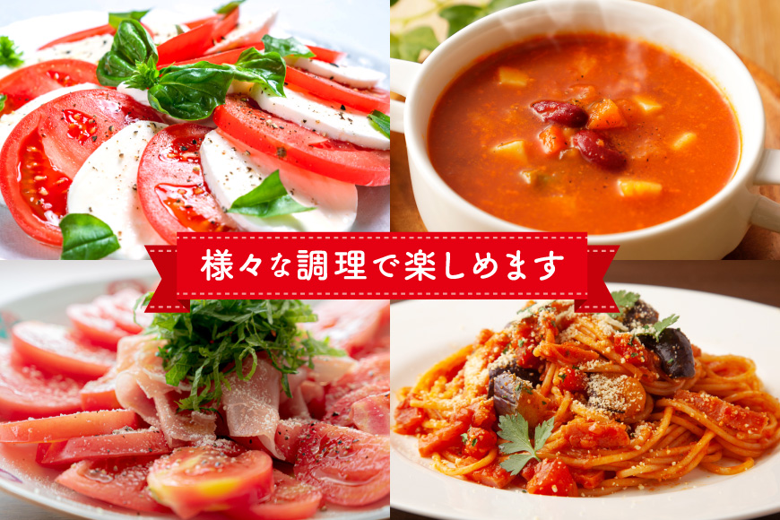 【期間限定発送】波乗り トマト とまたん 4kg (20個入) [サンフレッシュ小泉農園 宮城県 気仙沼市 20564139] 野菜 とまと 国産 夏野菜 やさい さっぱり サラダ サッパリ 新鮮 甘い カプレーゼ リコピン