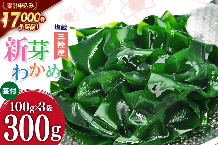 【漁師さんからのおすそわけ】新芽わかめ 300g(約100g×3袋) [かわむら家 宮城県 気仙沼市 20564375] わかめ ワカメ 若芽 海藻 国産 三陸 味噌汁 小分け 三陸わかめ