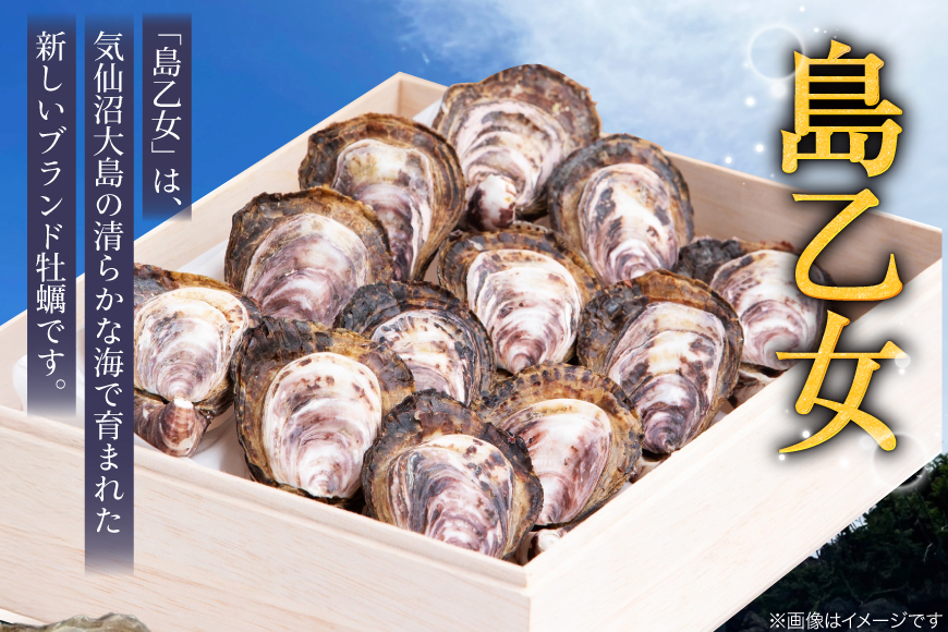 殻付き牡蠣 生食用 三倍体牡蠣 島乙女 約840g 12個入 [カネキ水産 宮城県 気仙沼市 20565985] 牡蠣 期間限定 冷蔵 新鮮 濃厚 カキ かき 生牡蠣 魚貝類 貝 海鮮 魚介類 なべ カキフライ 牡蠣ご飯 魚介