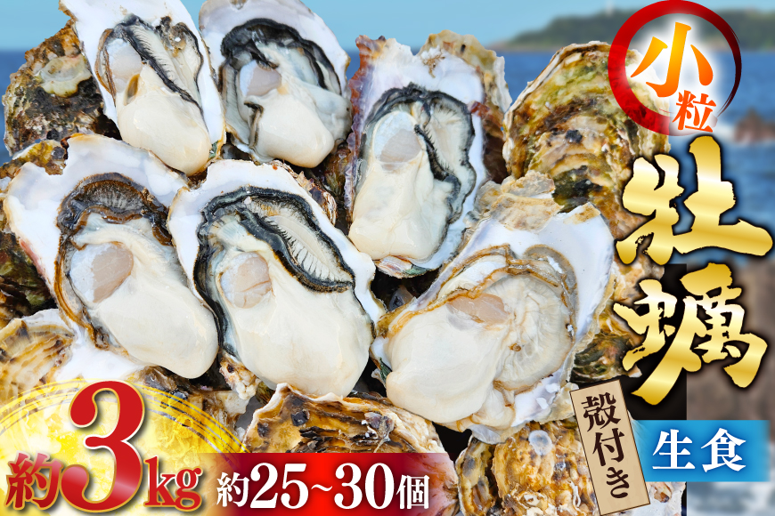 【期間限定発送】 牡蠣 小粒 1〜1年半モノ 生食 殻付き牡蠣 約3kg (約25〜30個入) [住喜水産 宮城県 気仙沼市 20565054] 冷蔵 新鮮 濃厚 真牡蠣 カキ かき 生牡蠣 魚貝類 貝 海鮮 魚介類 なべ カキフライ 牡蠣ご飯 魚介