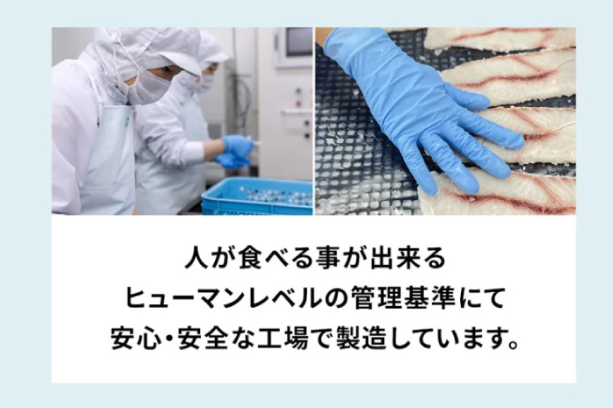 UMINO PET サメ肉ジャーキー 40g [石渡商店 宮城県 気仙沼市 20563930] ペットフード ドッグフード 犬 いぬ 犬用 ペット おやつ オヤツ 国産 ジャーキー 気仙沼産 サメ 鮫