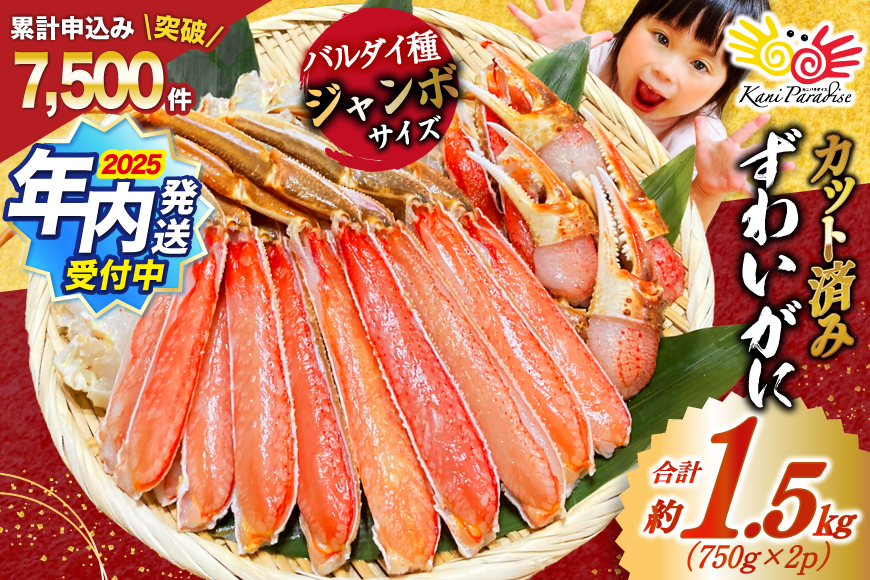 【2025 年内配送】 カット済 ずわいがに むき身セット 総重量1.5kg(750g×2p) かにしゃぶ かに鍋 正味重量1.2kg [カネダイ 宮城県 気仙沼市 20564319] かに カニ ずわいがに ずわい 蟹 棒 魚介 海鮮 ポーション