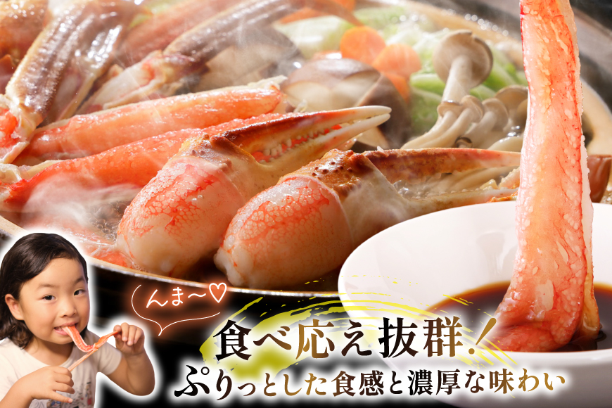 【2025 年内配送】 カット済 生 ずわいがに むき身 セット 総重量 750g (正味重量600g) 2-3Lサイズ [カネダイ 宮城県 気仙沼市 20565652] かに カニ ズワイガニ ずわい ズワイ 蟹 棒肉 ポーション かに鍋 かにしゃぶ 生ずわい