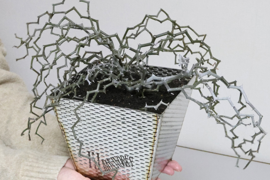 植木鉢 BOTANICAL POT ESP-L 1点 [藤田鉄工所 宮城県 気仙沼市 20565005] プランター 鉢 植木 おしゃれ 室内 多肉植物 アガベ ステンレス 金属 花 ガーデン DIY 植物 多肉 観葉植物 ナチュラル