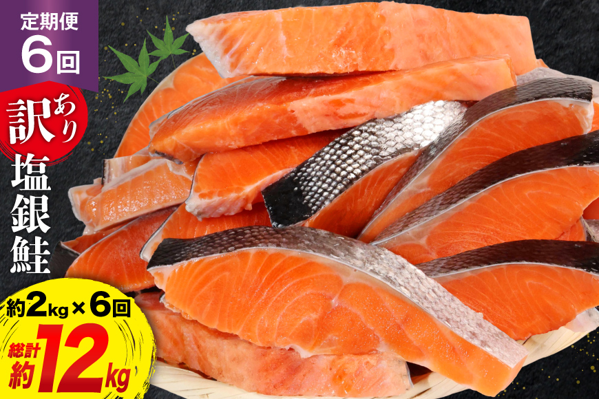 定期便 《6ヶ月連続お届け》 訳あり 銀鮭 切身 約2kg×6回 計12kg [宮城東洋 宮城県 気仙沼市 20564480] 鮭 海鮮 規格外 不揃い さけ サケ 鮭切身 シャケ 切り身 冷凍 家庭用 訳アリ おかず 弁当 支援 事業者支援