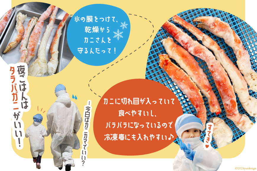 本 タラバガニ 脚 スリット入 約1.3kg 極太6Lサイズ ボイル済 [カネダイ 宮城県 気仙沼市 20564363] カニ かに 蟹 たらばがに たらば蟹 タラバ蟹 たらば タラバ ボイル 脚肉 スリット 訳あり