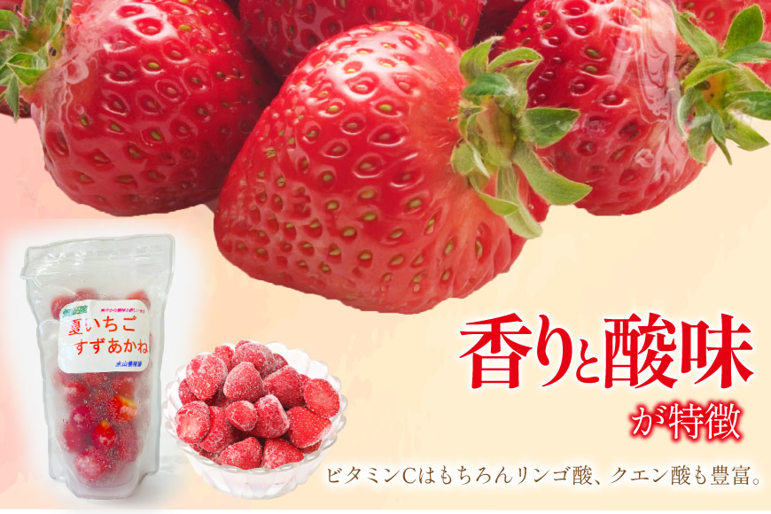 訳あり 冷凍 夏いちご すずあかね 約1kg [水山養殖場 宮城県 気仙沼市 20564004] 果物 イチゴ いちご 苺 簡易包装 フルーツ