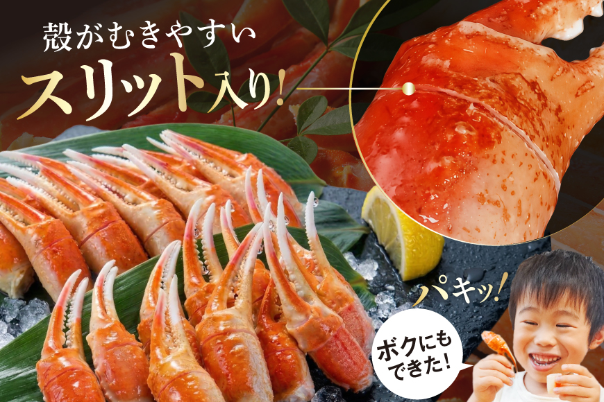リピーター続出！ 本ずわいがに爪 約700g [カネダイ 宮城県 気仙沼市 20564321] 蟹 かに カニ ずわいがに ズワイガニ ずわい蟹 ズワイ蟹 ずわい ズワイ 蟹 カニ爪 蟹爪 カニ爪肉 つめ 爪 ボイル