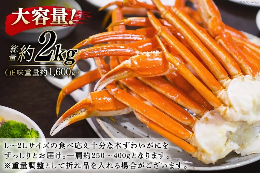 ボイル済み 本ずわいがに 脚 3L〜4L 総重量 2kg [カネダイ 宮城県 気仙沼市 20564764] カニ 蟹 ズワイガニ ずわい蟹 ズワイ蟹 ずわい ズワイ 海鮮 魚介類 カニ脚 蟹脚 足 ボイル ご褒美