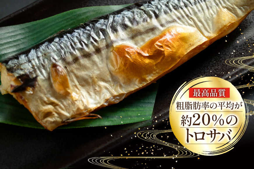 訳あり 塩サバ フィレ 5kg [足利本店 宮城県 気仙沼市 20565496] 魚介類 魚 海鮮 大容量 サバ さば 鯖 サバフィレ サバフィーレ 鯖フィレ 切り身 冷凍 訳アリ わけあり トロサバ 減塩 とろさば