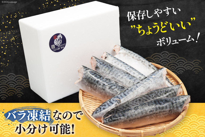 サバ フィレ 切り身 2kg [かわむら家 宮城県 気仙沼市 20565474] 魚 魚介類 魚介 鯖 さば 切り身 無添加 冷凍 便利 弁当 おかず 惣菜