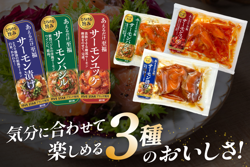 サーモン FIVE STAR ブランド サーモンユッケ サーモンバジル サーモン漬け 3種 セット 計12パック [カネダイ 宮城県 気仙沼市 20566150] 魚 魚介類 サーモン サーモントラウト 鮭 さけ サーモン ユッケ バジル 漬け さけ サケ トラウト 海鮮 丼 海鮮丼 個包装 小分け 冷凍