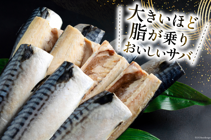 訳あり 塩サバ フィレ 5kg [足利本店 宮城県 気仙沼市 20565496] 魚介類 魚 海鮮 大容量 サバ さば 鯖 サバフィレ サバフィーレ 鯖フィレ 切り身 冷凍 訳アリ わけあり トロサバ 減塩 とろさば