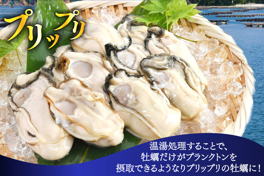 【期間限定発送】 ヤマヨ水産の牡蠣 加熱用 500g 《5月前半〜出荷》 [気仙沼市物産振興協会 宮城県 気仙沼市 20565983] 魚介類 海鮮 牡蠣 春 かき 春牡蠣 春かき 期間限定 冷蔵 加熱