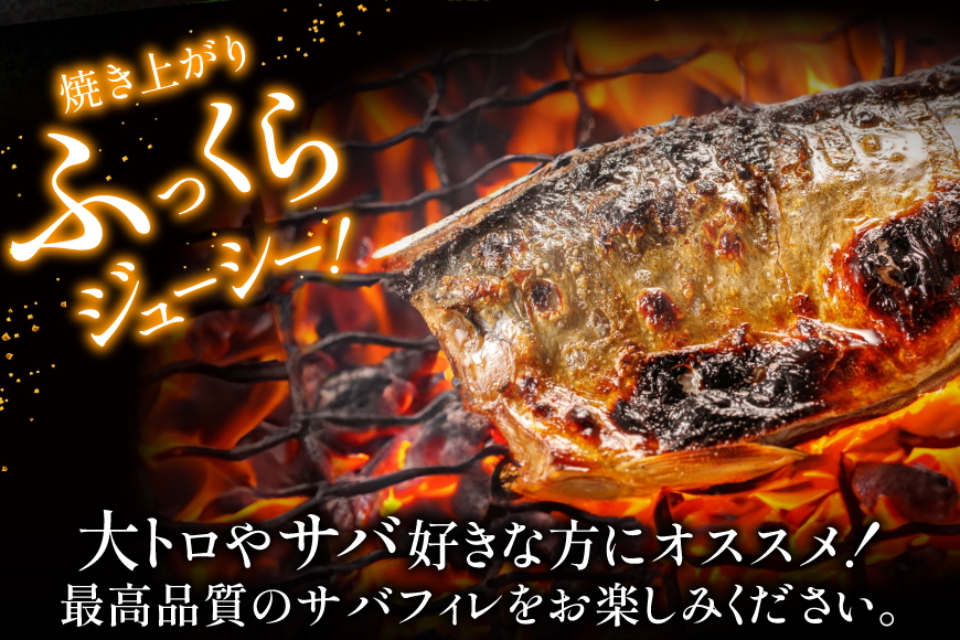 訳あり 塩サバ フィレ 5kg [足利本店 宮城県 気仙沼市 20565496] 魚介類 魚 海鮮 大容量 サバ さば 鯖 サバフィレ サバフィーレ 鯖フィレ 切り身 冷凍 訳アリ わけあり トロサバ 減塩 とろさば