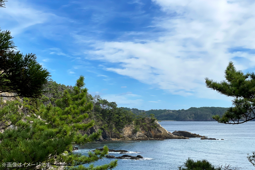 チケット 気仙沼産 フカヒレ 特選コース お食事券 2名様 1万円分 [福建楼 宮城県 気仙沼市 20565978] 食事券 ふかひれ 鱶鰭 観光 旅行 旅 たび 食事 中華 中華料理 本格中華 体験