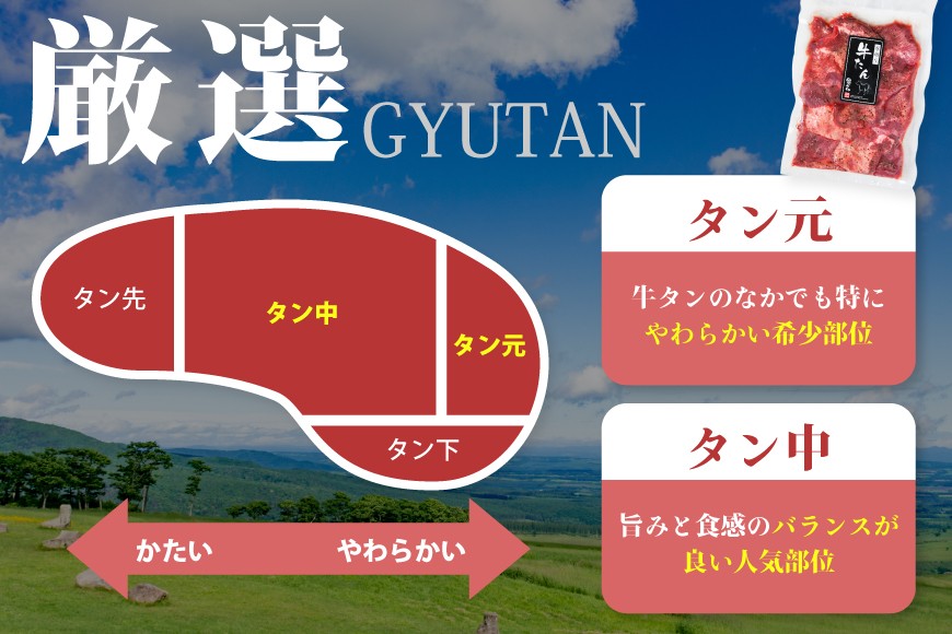 厚切り 牛タン 500g 2p 計1kg 大容量 [亀山精肉店 宮城県 気仙沼市 20564898] 精肉 肉 牛肉 牛たん 牛タン ぎゅうたん タン 厚切り 冷凍 焼肉 焼き肉 BBQ アウトドア