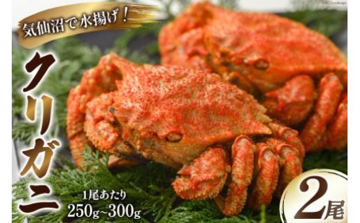 かに クリガニ ボイル 2尾 栗蟹 カニ 蟹 プレゼント ギフト 贈り物 お歳暮 お中元 さんりくみらい 宮城県 気仙沼市 Jalふるさと納税 Jalのマイルがたまるふるさと納税サイト