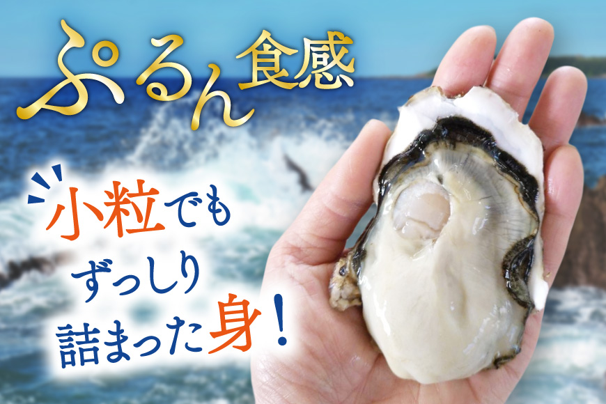 【期間限定発送】 牡蠣 小粒 1〜1年半モノ 生食 殻付き牡蠣 約2kg (約16〜22個入) [住喜水産 宮城県 気仙沼市 20565055] 冷蔵 新鮮 濃厚 真牡蠣 カキ かき 生牡蠣 魚貝類 貝 海鮮 魚介類 なべ カキフライ 牡蠣ご飯 魚介