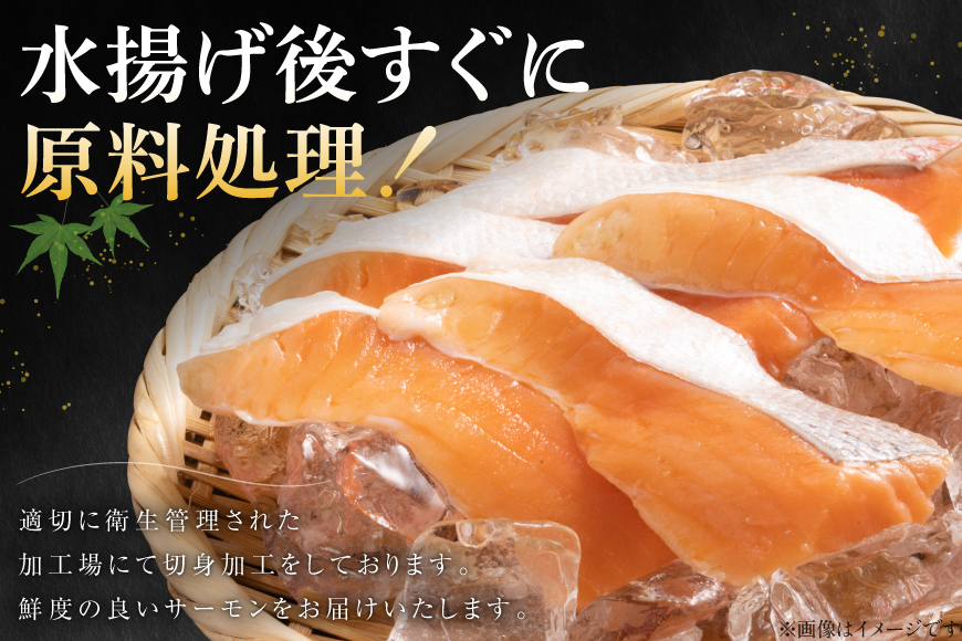 訳あり サーモン ハラス 鮭 切身 骨取り 1.5kg [足利本店 宮城県 気仙沼市 20566124] 魚 鮭 魚介類 冷凍 海鮮 鮭 魚介 規格外 鮭 不揃い さけ サケ 鮭切身 シャケ 切り身 サーモン切り身 訳アリ わけあり 簡易包装 家庭用 冷凍 鮭