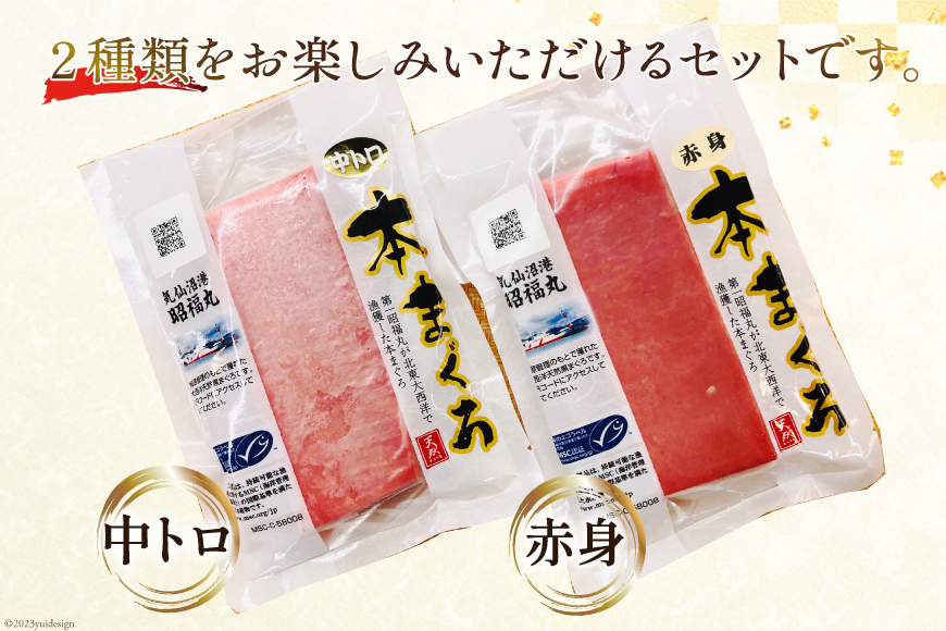 昭福丸の天然本まぐろ (中トロ･赤身) 各180g 計360g [臼福本店 宮城県 気仙沼市 20563782] 魚 鮮魚 刺身 トロ 天然本マグロ マグロ まぐろ 鮪 本まぐろ 本マグロ 本鮪 冷凍 