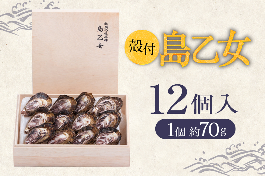 殻付き牡蠣 生食用 三倍体牡蠣 島乙女 約840g 12個入 [カネキ水産 宮城県 気仙沼市 20565985] 牡蠣 期間限定 冷蔵 新鮮 濃厚 カキ かき 生牡蠣 魚貝類 貝 海鮮 魚介類 なべ カキフライ 牡蠣ご飯 魚介