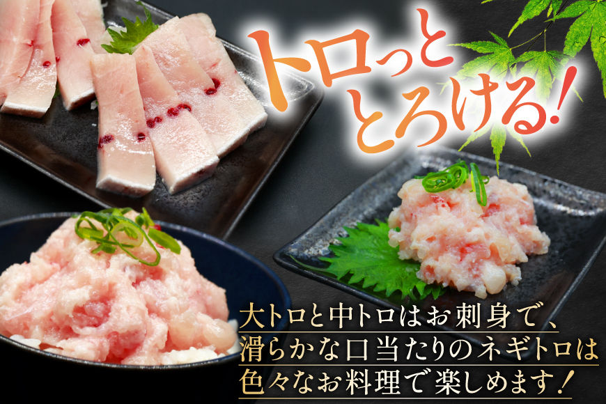 メカジキ  大トロ 中トロ ネギトロ 三種 セット [熊栄産業 宮城県 気仙沼市 20565107] 魚 魚介 海鮮 めかじき 詰め合わせ 食べ比べ トロ ねぎとろ 丼 海鮮丼 刺身 小分け 冷凍