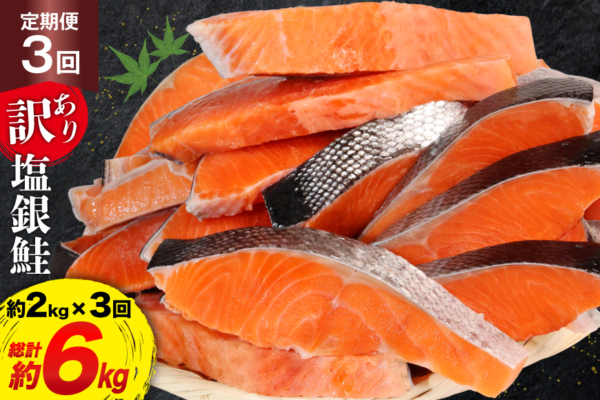 定期便 《3ヶ月連続お届け》 訳あり 銀鮭 切身 約2kg×3回 計6kg [宮城東洋 宮城県 気仙沼市 20564481] 鮭 海鮮 規格外 不揃い さけ サケ 鮭切身 シャケ 切り身 冷凍 家庭用 訳アリ おかず 弁当 支援 事業者支援