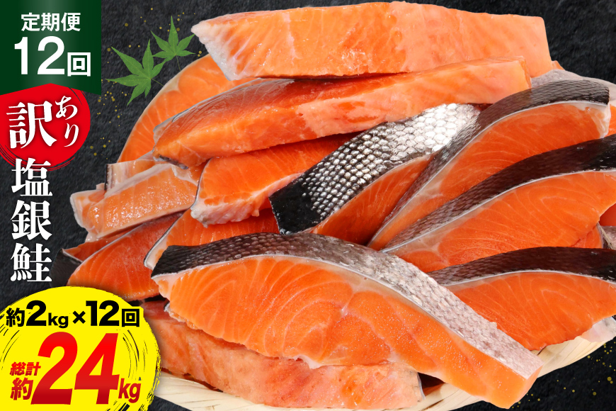 定期便 《12ヶ月連続お届け》 訳あり 銀鮭 切身 約2kg×12回 計24kg [宮城東洋 宮城県 気仙沼市 20564464] 鮭 海鮮 規格外 不揃い さけ サケ 鮭切身 シャケ 切り身 冷凍 家庭用 訳アリ おかず 弁当 支援 事業者支援