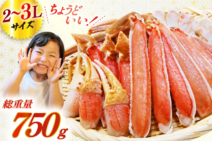 【2025 年内配送】 カット済 生 ずわいがに むき身 セット 総重量 750g (正味重量600g) 2-3Lサイズ [カネダイ 宮城県 気仙沼市 20565652] かに カニ ズワイガニ ずわい ズワイ 蟹 棒肉 ポーション かに鍋 かにしゃぶ 生ずわい