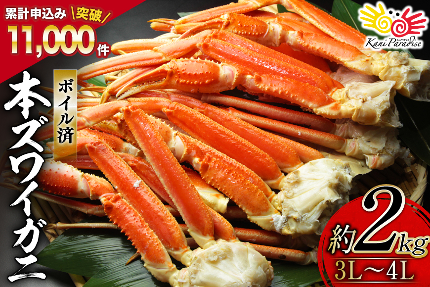 ボイル済み 本ずわいがに 脚 3L〜4L 総重量 2kg [カネダイ 宮城県 気仙沼市 20564764] カニ 蟹 ズワイガニ ずわい蟹 ズワイ蟹 ずわい ズワイ 海鮮 魚介類 カニ脚 蟹脚 足 ボイル ご褒美