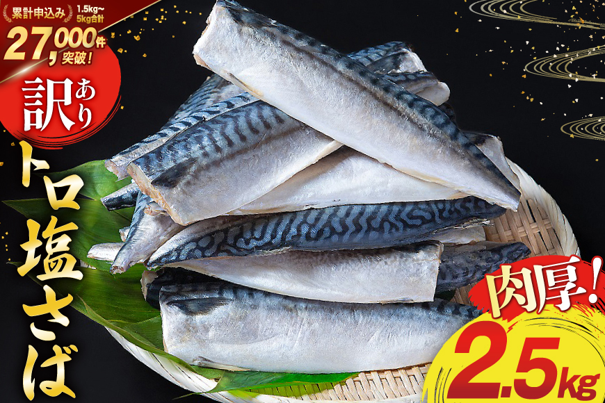 訳あり 塩サバ フィレ 2.5kg [足利本店 宮城県 気仙沼市 20564146] 魚介類 魚 海鮮 大容量 サバ さば 鯖 サバフィレ サバフィーレ 鯖フィレ トロサバ 訳アリ 訳あり わけあり 切り身 冷凍